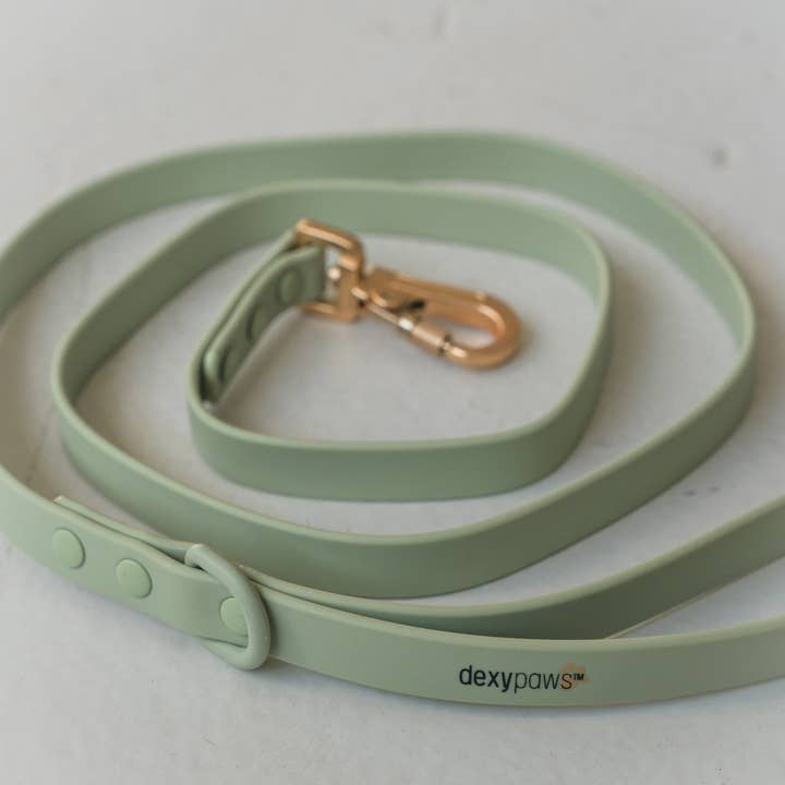 dexypaws - Wholesale Pet leash – Dog - Waterproof Dog Leash in Sage Green6