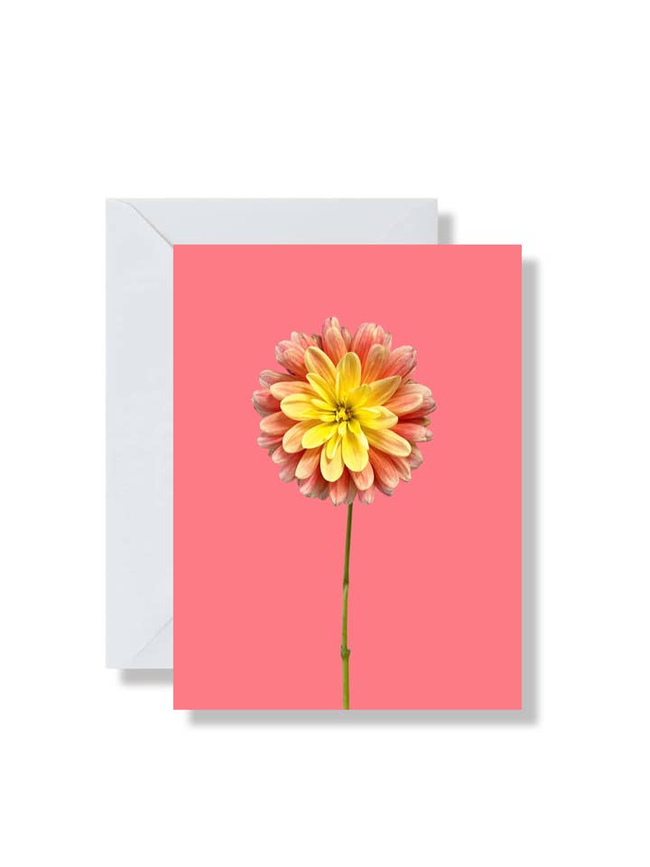 Dahlia Flower, Floral Photography, Color Block Blank Card for wholesale by Flora and Forest Jewellery