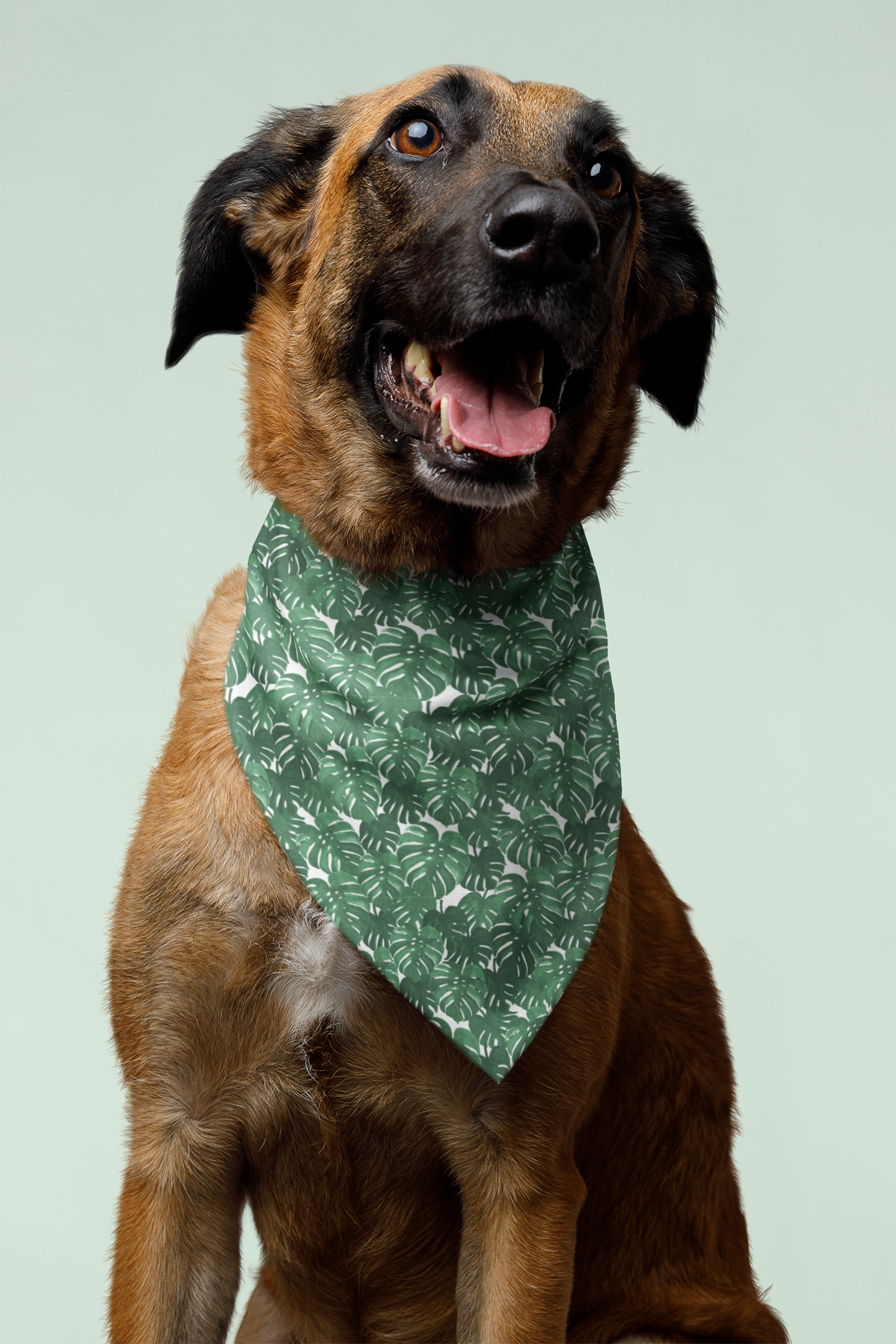 Dog Bandana Co. - Vendita all'ingrosso Bandana - Cani - Bandana per cani con piante da appartamento2