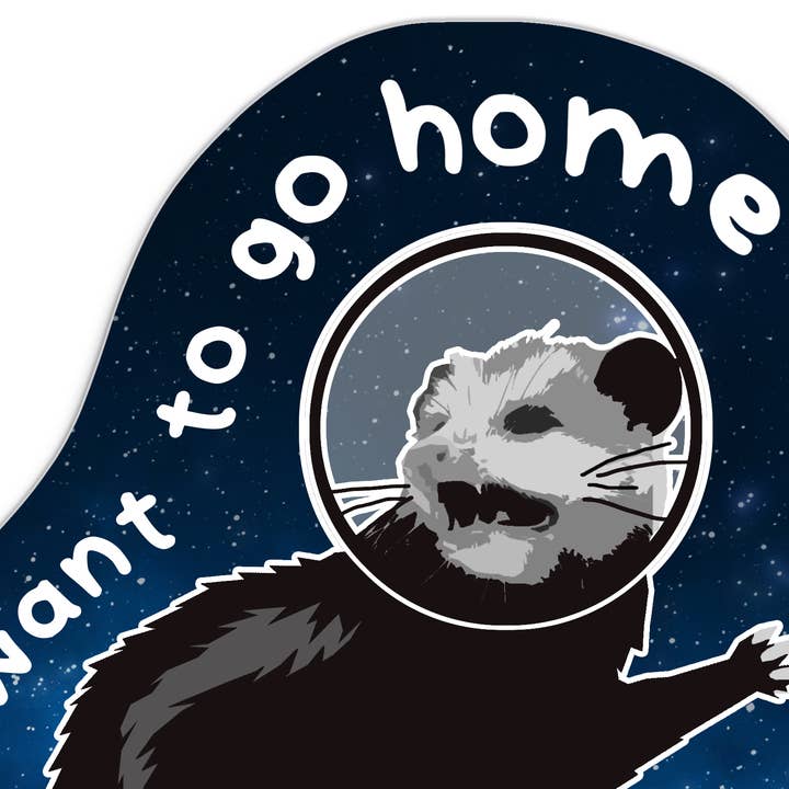 BoyPilot Goods - Wholesale Sticker - Possum in Space Sticker 3" x 3" - Introvert Anxiety Sticker2
