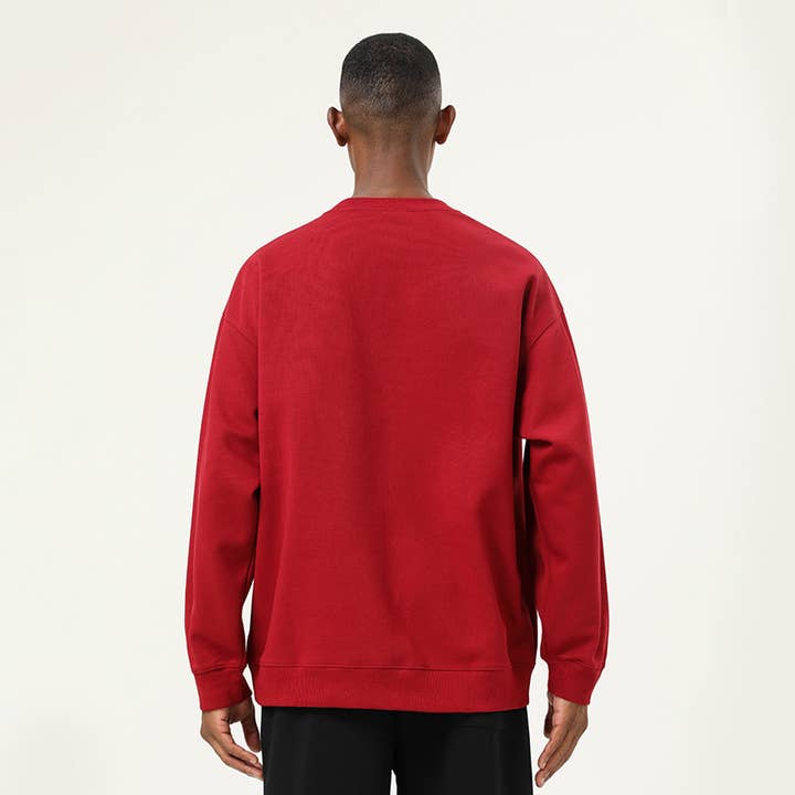 Sodalemon - Wholesale Sweatshirt - Men's - Man Fitness Sweatshirt 380g Winter Loose Cycling Hoodies1