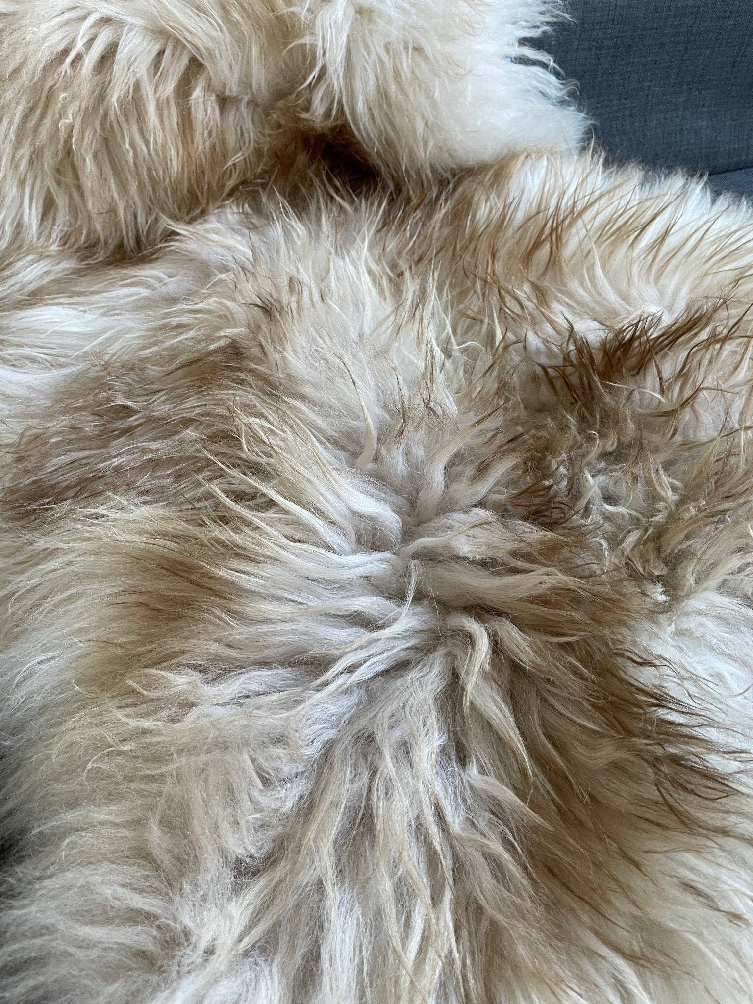 Wildash London – wholesale Area rug – Icelandic Latté Sheepskin Rug 100% Natural Brown Tipped White2