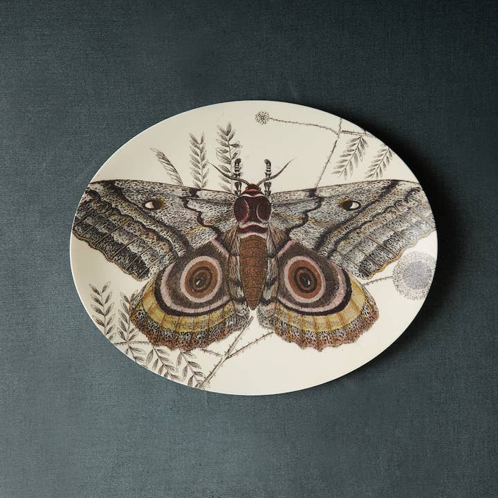 Siren Song - Wholesale Serving Tray - Specimen Large Oval Tray1