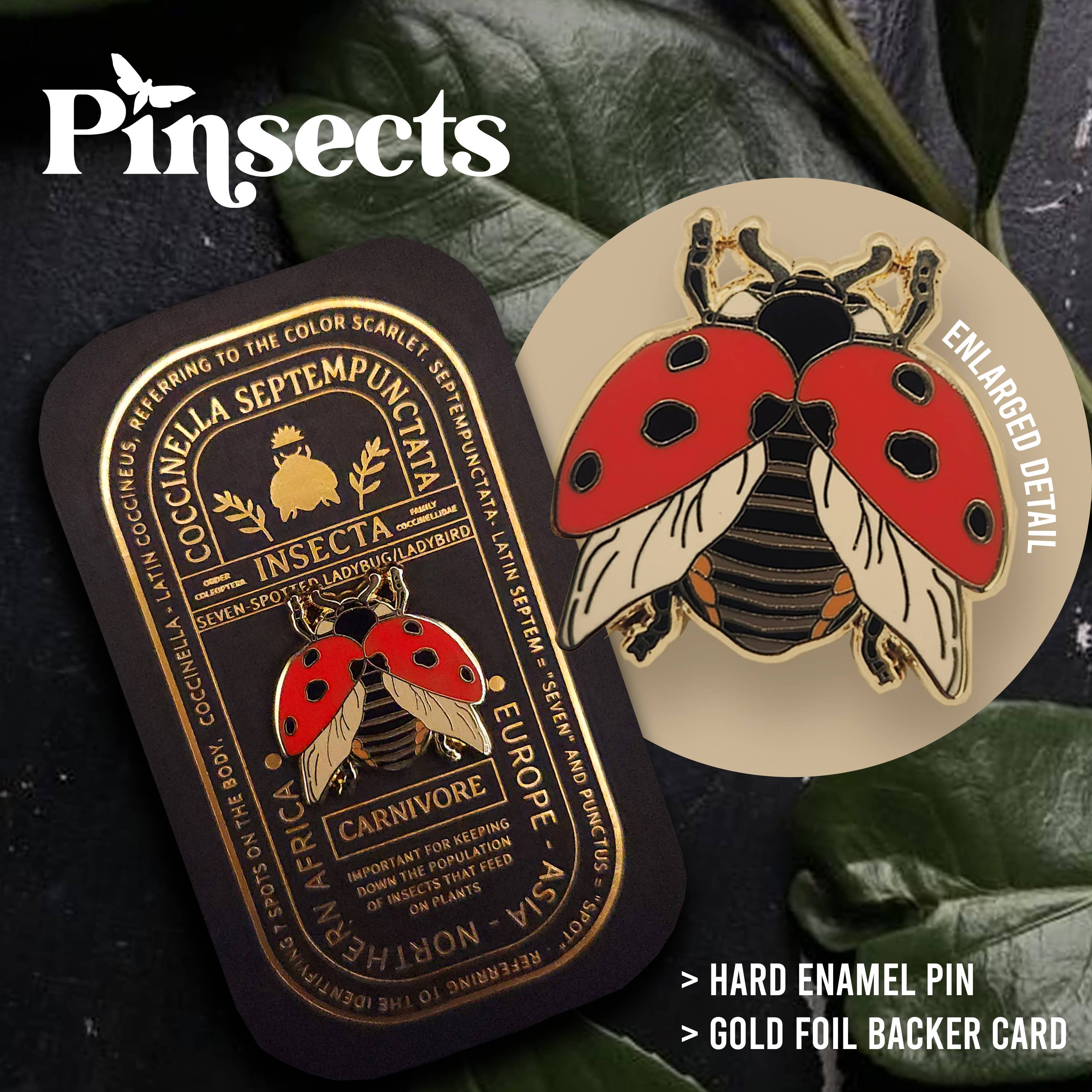Pinsects – wholesale Lapel pin/button – Seven-Spotted Ladybug Educational Insect Enamel Pin1