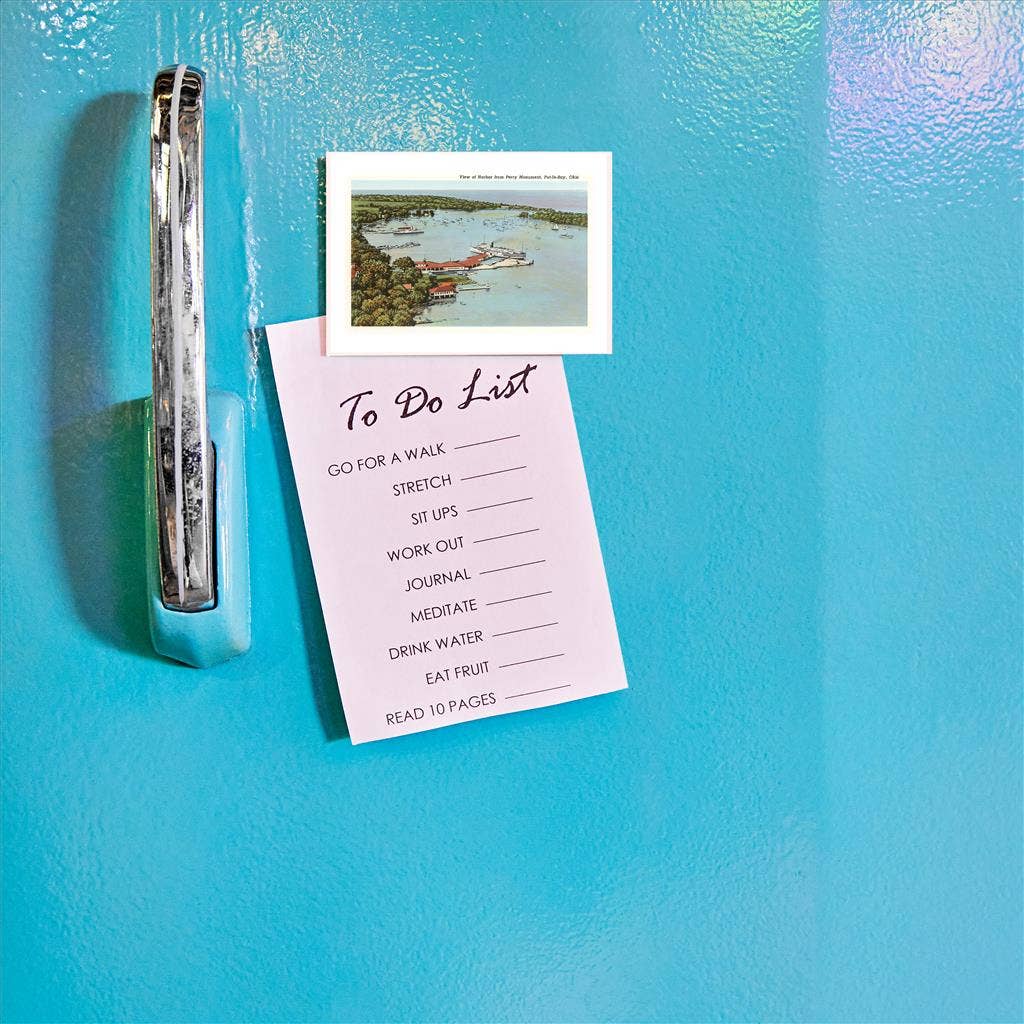 Found Image Press – wholesale Magnet – Magnet OH-76 Harbor, Put-in-Bay1