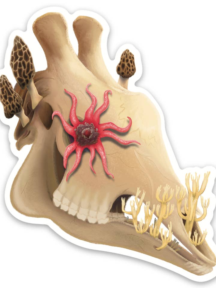 Fungal Giraffe Skull Die Cut Sticker for wholesale by Two Twisted Dragons