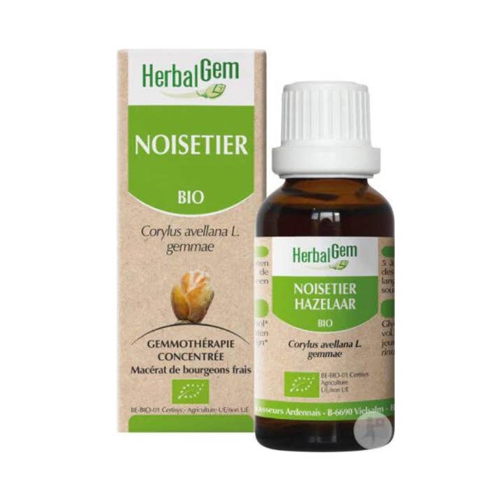 NOISETIER BIO - 30 ml - Herbal Gem pour la vente par Ecohesens