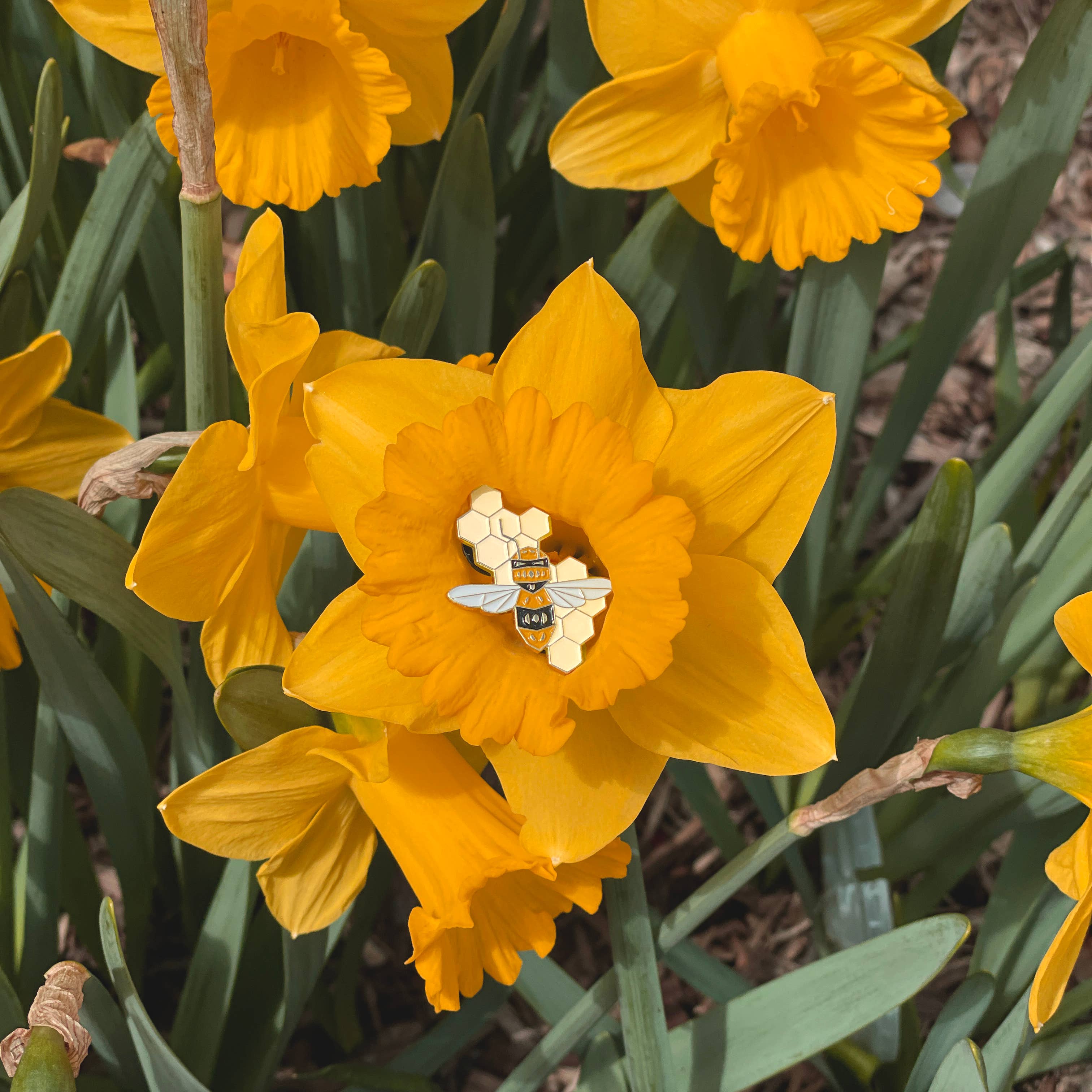 Ruff House Print Shop - Vendita all'ingrosso Spilla da bavero - Spilla smaltata Honey1