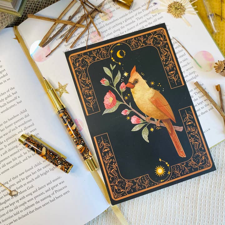 Split Moon Studios - Wholesale Postcard Set - A Set of Bird Post Cards - Post Card - Art Print4