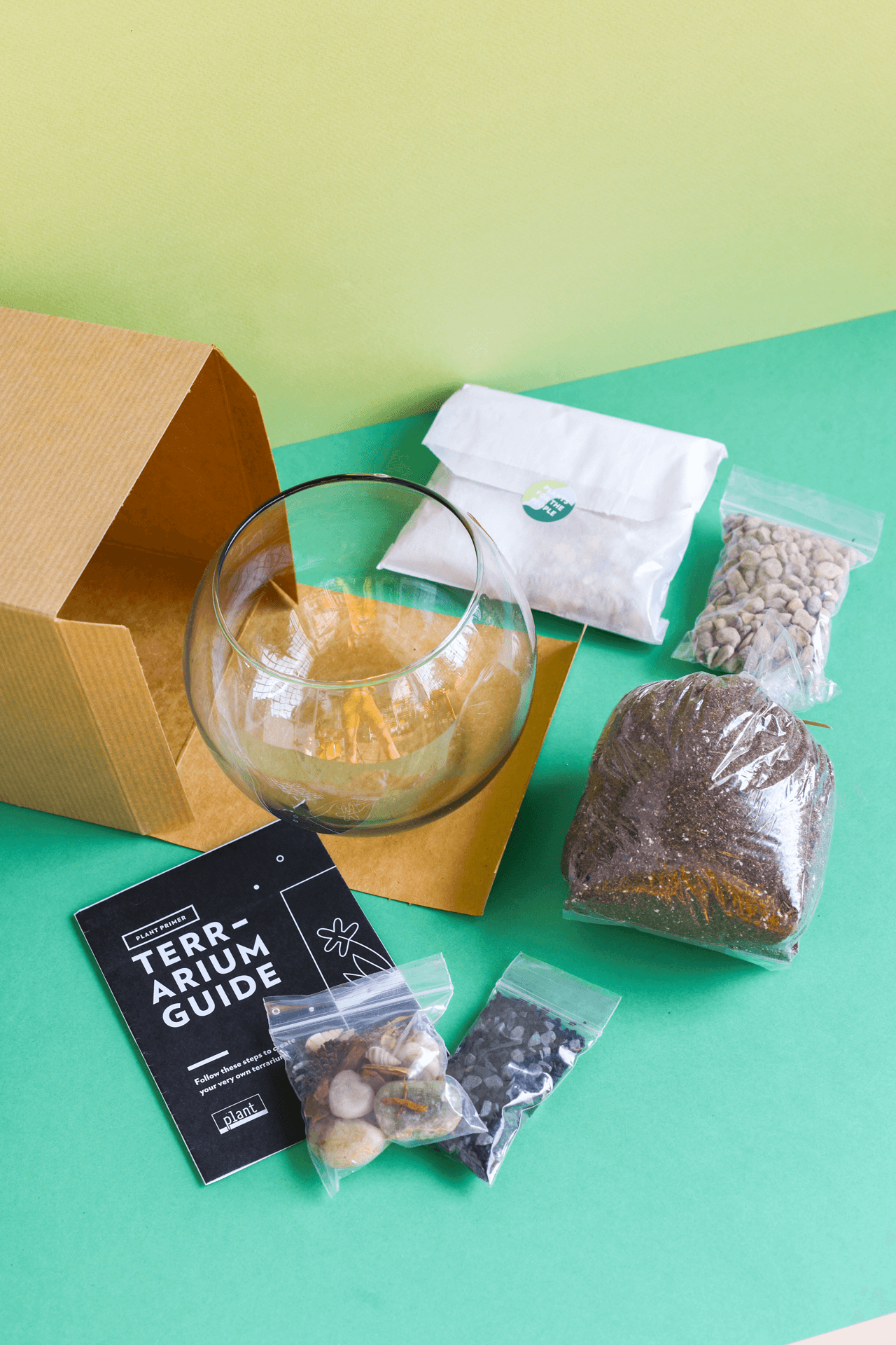 Plant Shop - Wholesale DIY Craft Kit - Terrarium Kit : Globe2