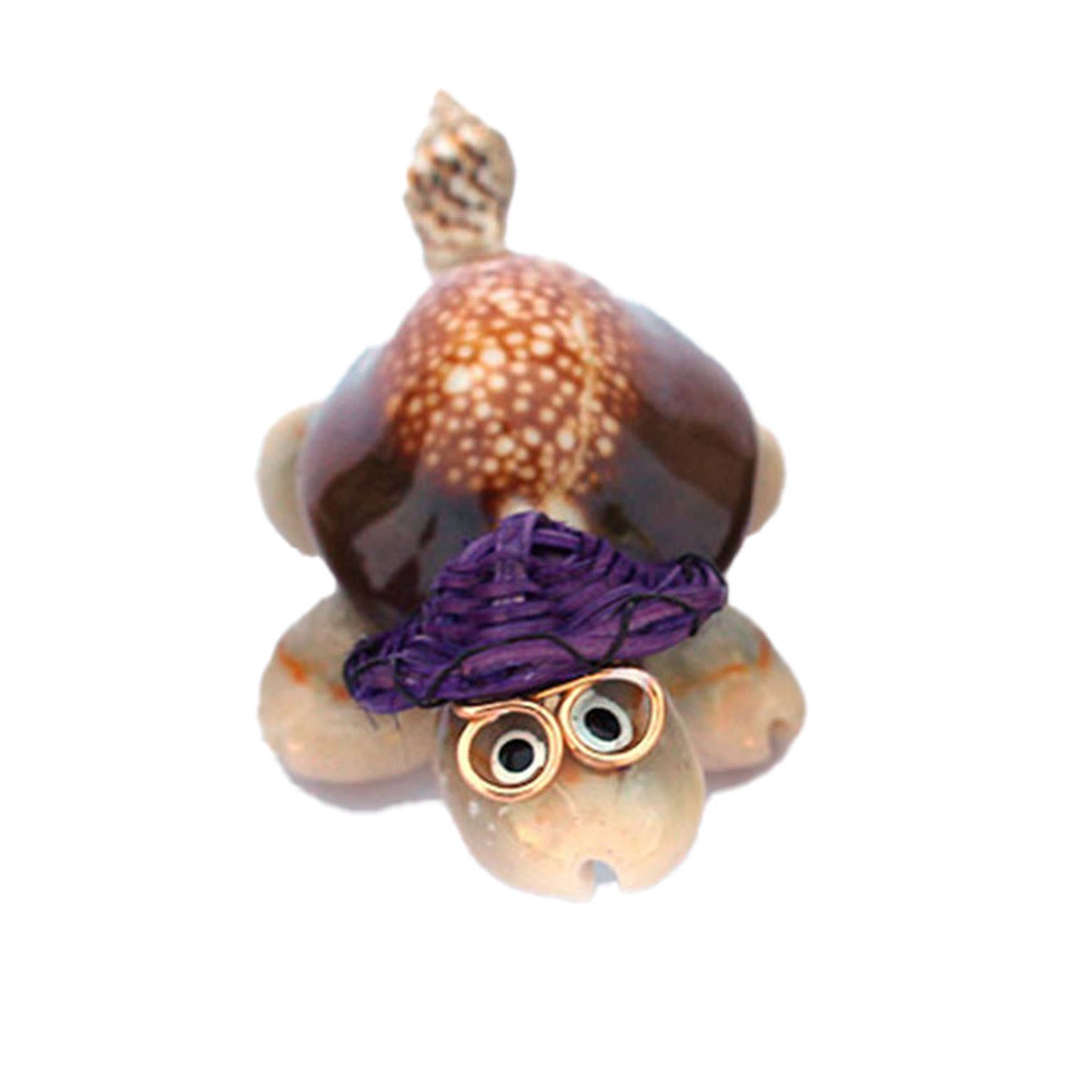 California Seashell Company - Wholesale Decorative Tabletop Object - Souvenir Shell Turtles - 4 Assorted Color Hats4