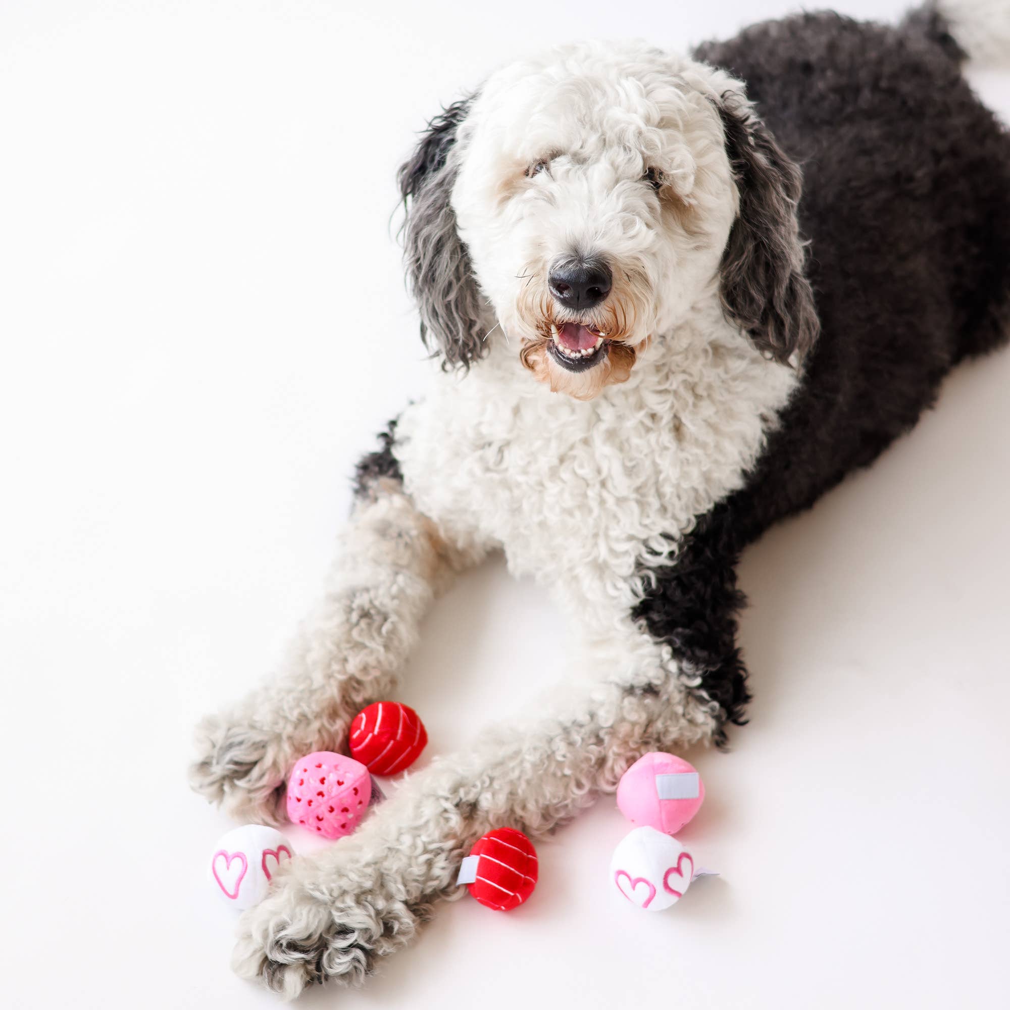 Midlee Designs – wholesale Pet plush toy – Dog – Midlee Valentine Plush Balls Dog Toy - Set of 67