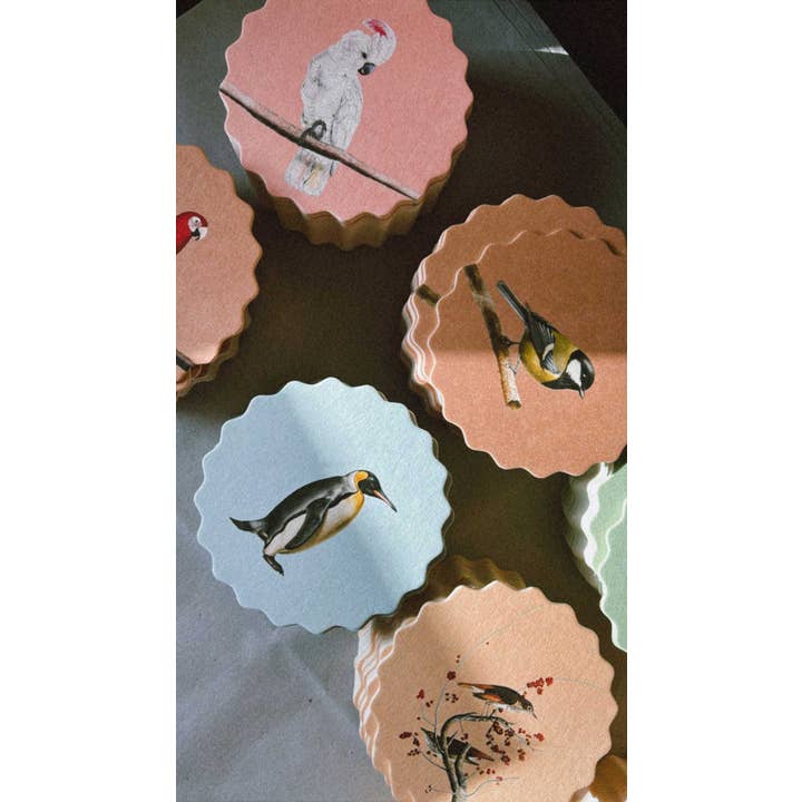 30x40 - Wholesale Onderzetters - Set van 10 onderzetters met vogelmotieven 🦉🦜🐦4