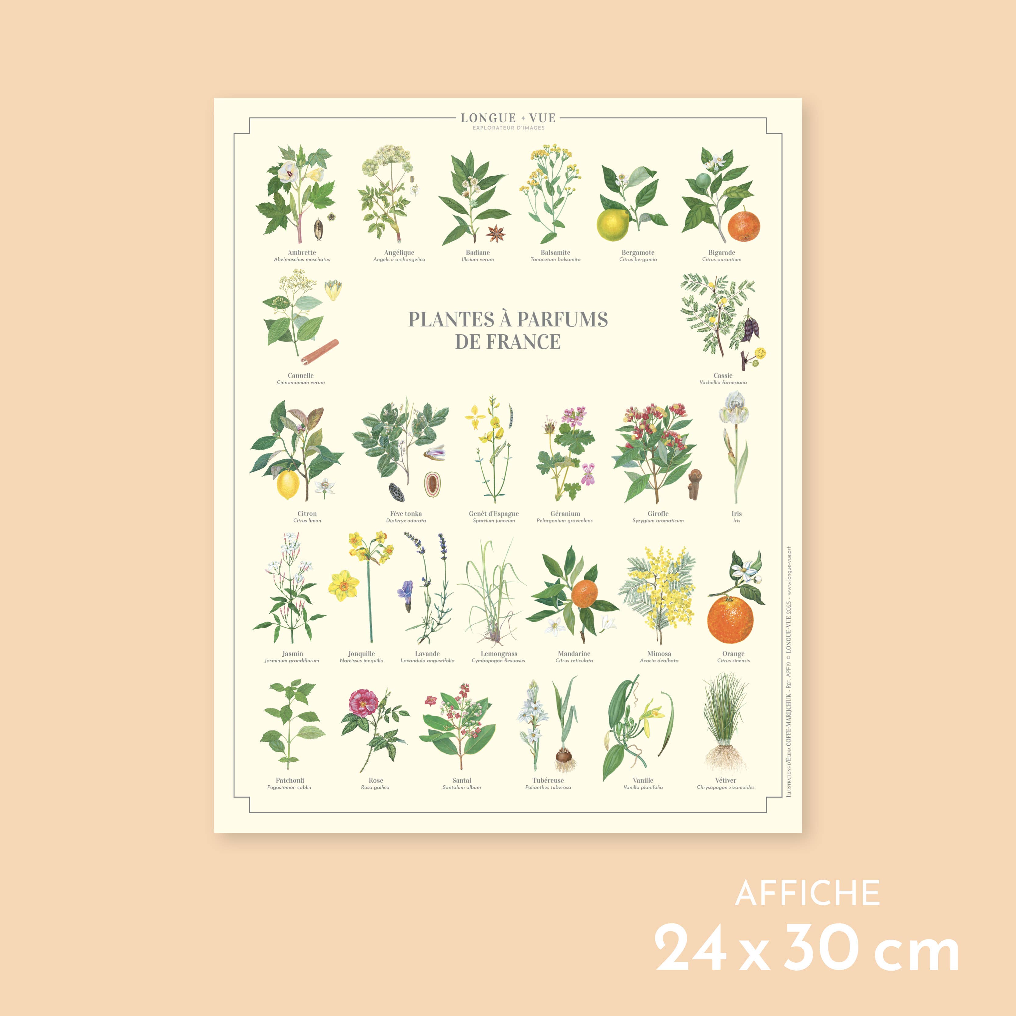 Longue-vue - Wholesale Poster - Fragrant Plants of France - Poster0