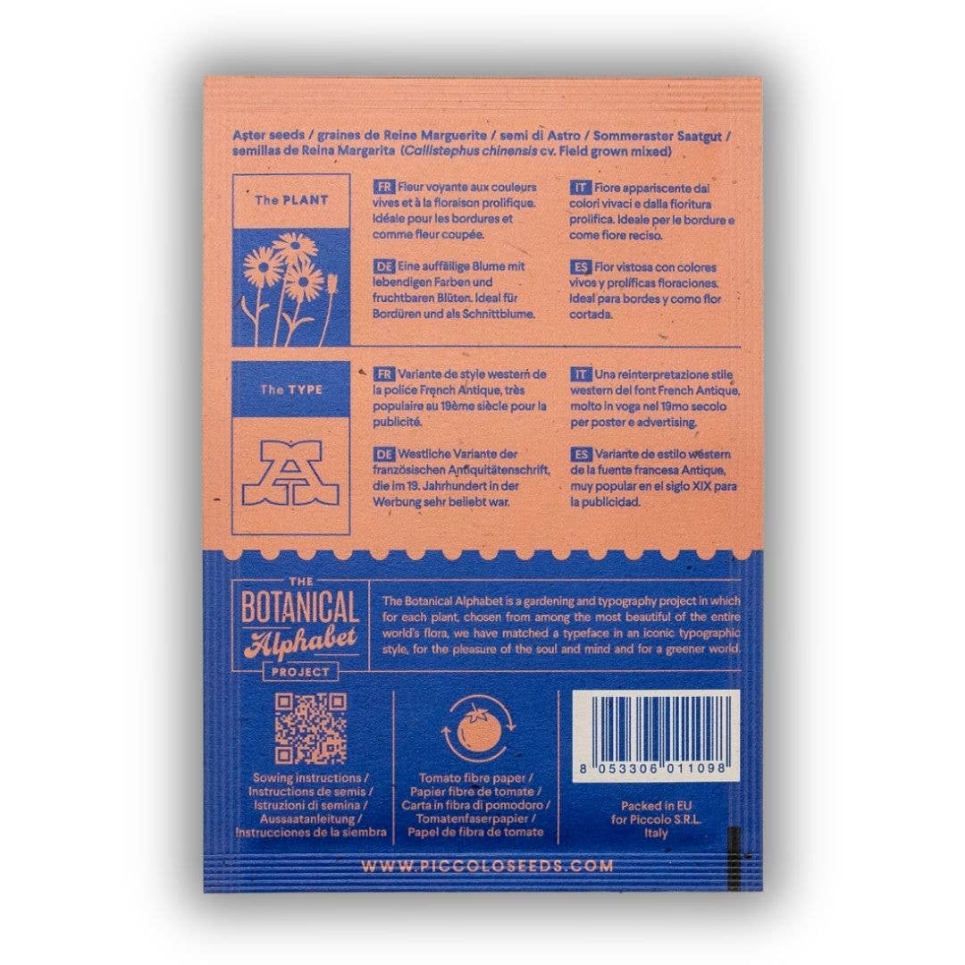 Piccolo Seeds - Wholesale Plant Seeds - A - Aster1