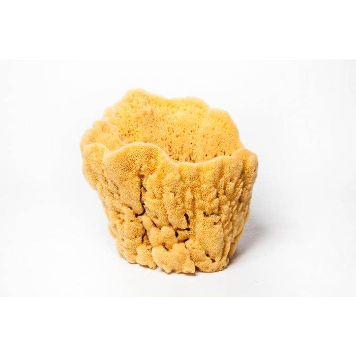 Sponges Direct - Wholesale Bath Pouf/Sponge - Vase Sponges3