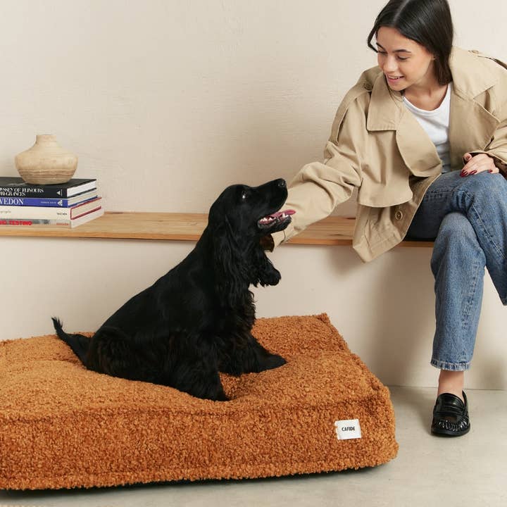 CAFIDE - Wholesale Pet Bed - Dog - Mustard Sheep Dog Bed, Cuadra1