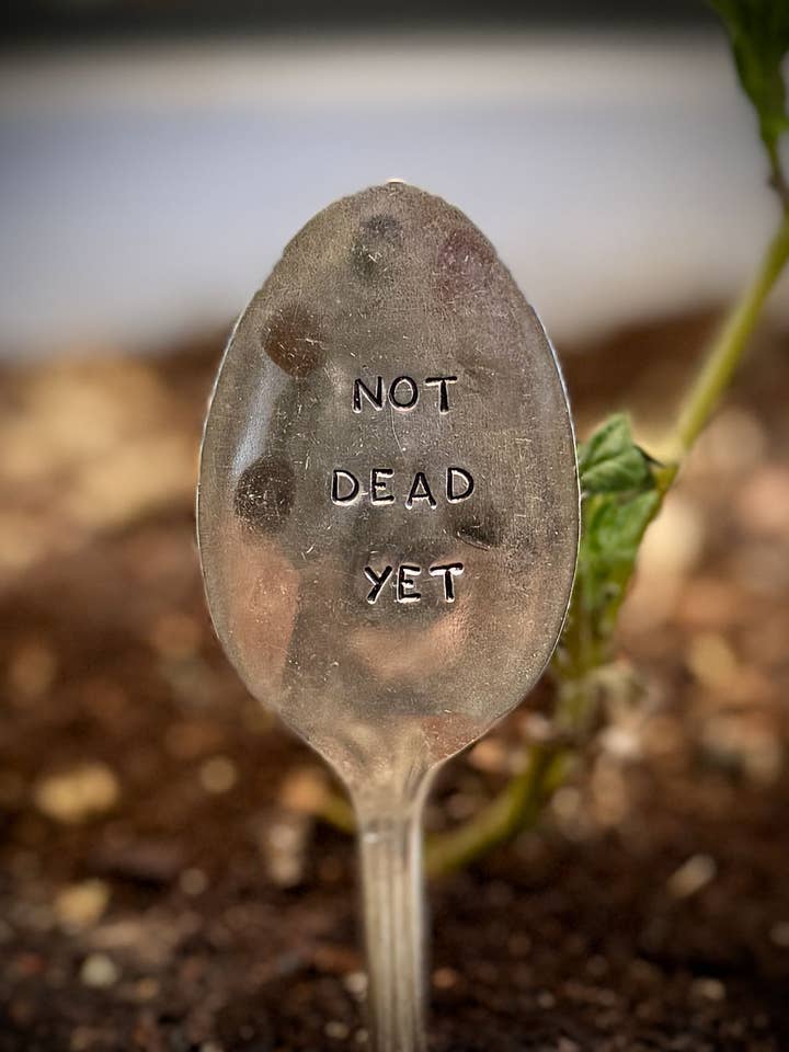 NO MUERTO TODAVÍA - Marcador de Jardín para venta al por mayor de Pumpernickel and Wry