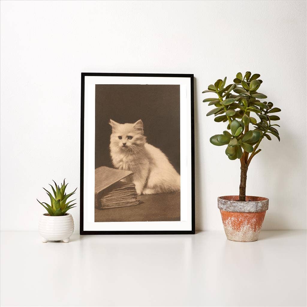 Found Image Press - Wholesale Art Print - Art Print LT-343 Untitled1