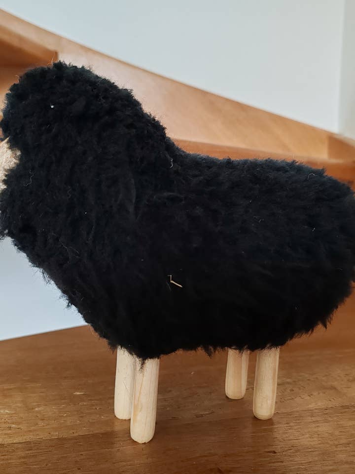 Får Ernest lille for engroshandel hos ZINE & LYNE