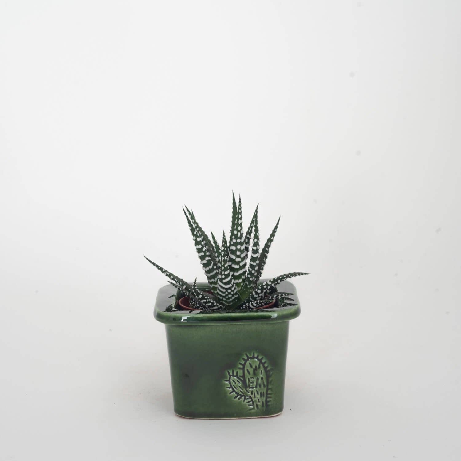 Vasos Quadrados by EM – Vaso de plantas por atacado – VASO QUADRADO MINI 6x6 - BRILHO42