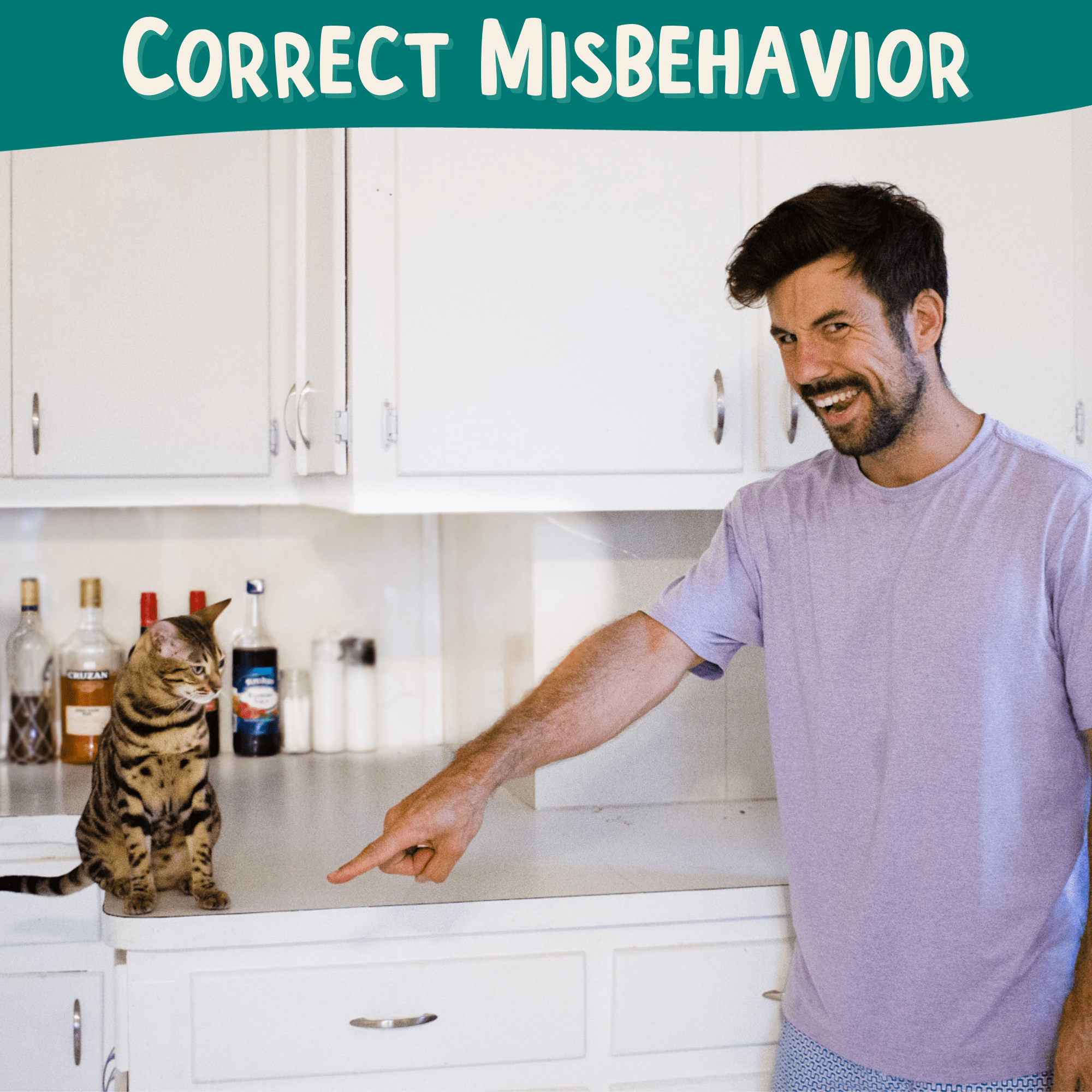 Outdoor Bengal - Wholesale Pet Toy - Cat - Clicker Training Starter Kit3