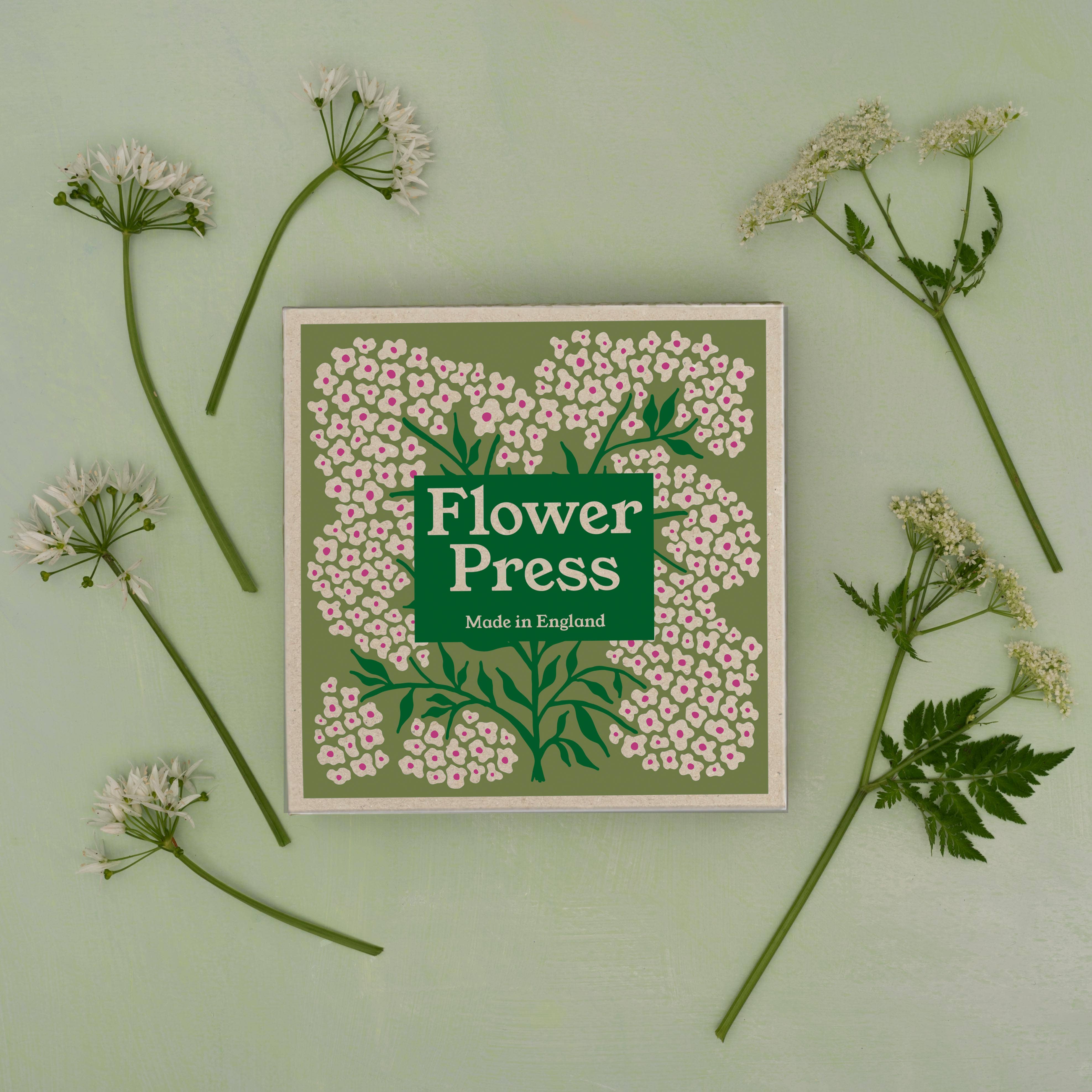 Studio Wald - UK Made - Wholesale DIY Craft Kit - Flower Press - Forget Me Not1