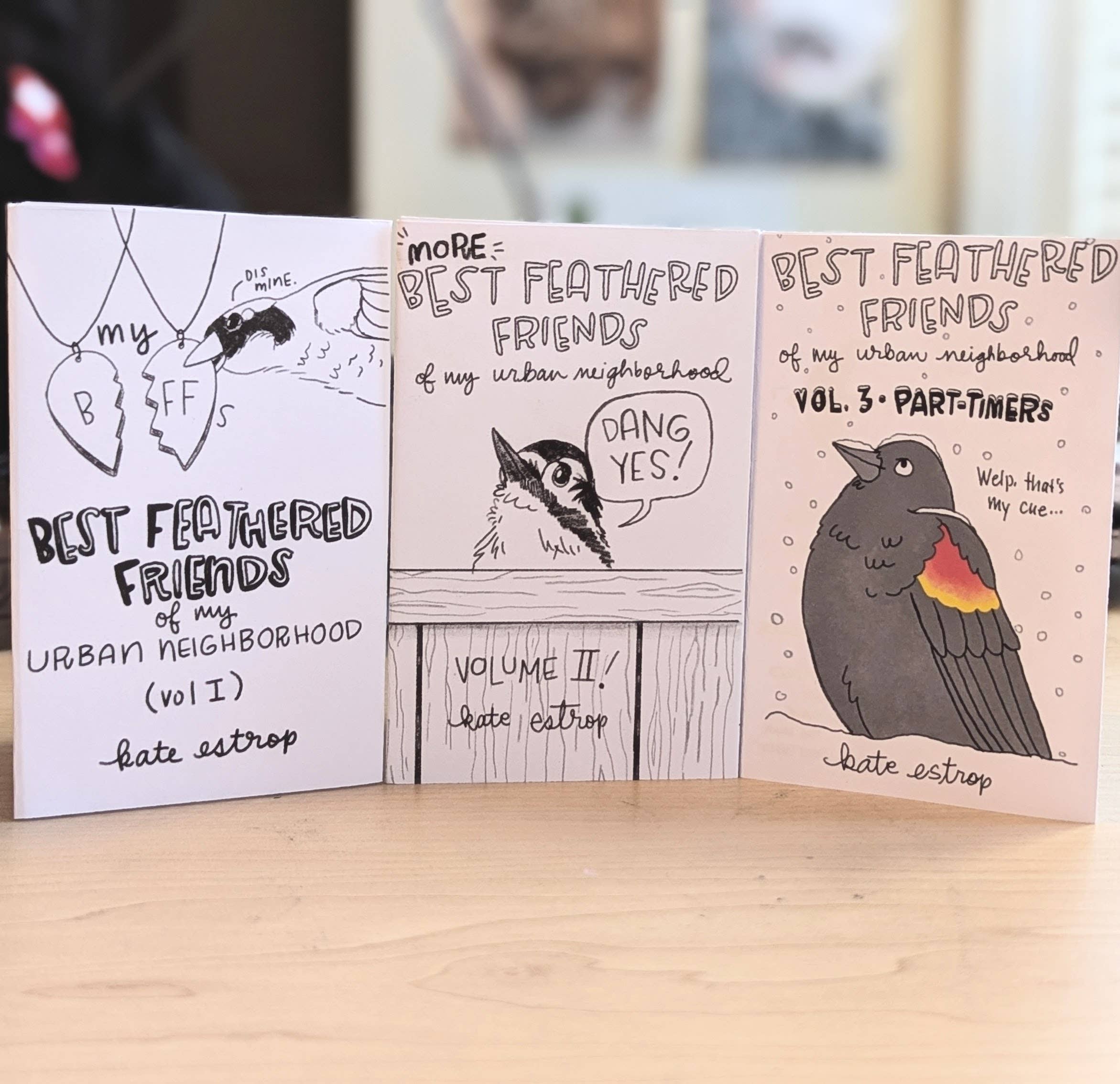 Kestrop Studio - Wholesale Coloring & Activity Book - Adult - Best Feathered Friends Zine Pack: All 3 Volumes1