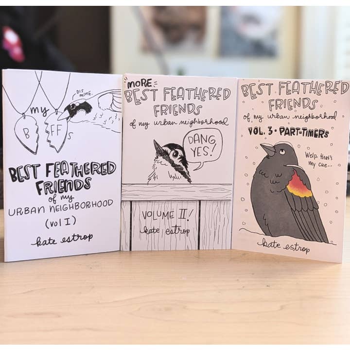 Kestrop Studio - Wholesale Coloring & Activity Book - Adult - Best Feathered Friends Zine Pack: All 3 Volumes1