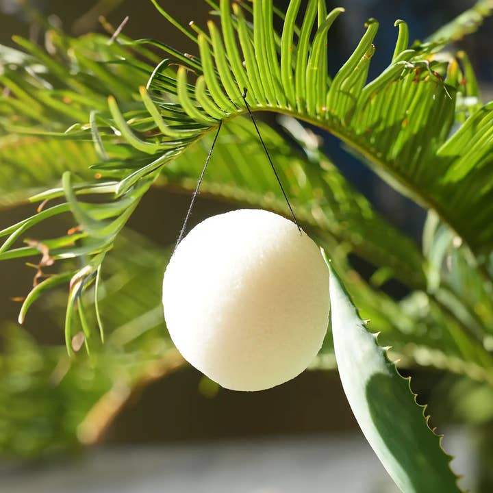 Karawan Authentic - Vente Éponges de bain - Eponge de Konjac biologique, naturelle, en vrac2
