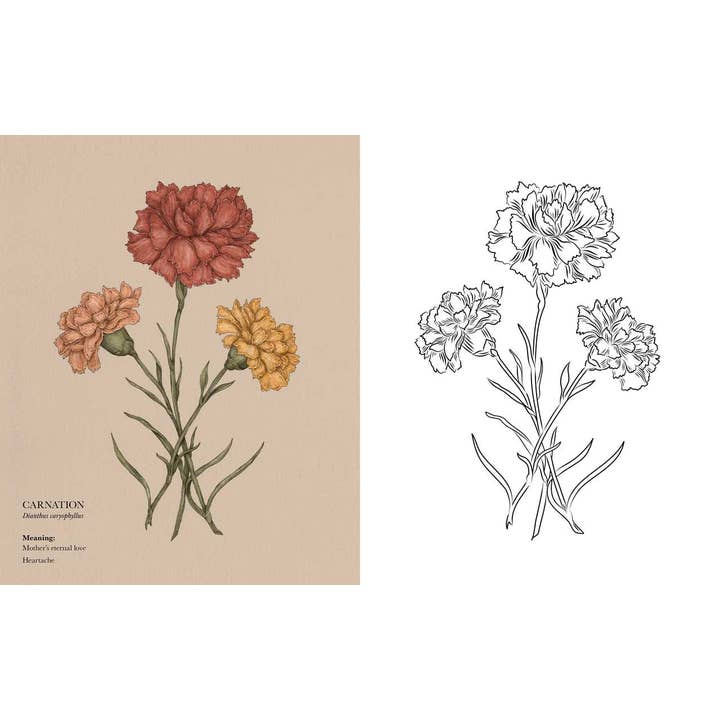 Simon & Schuster - Wholesale Coloring Book - Adult - Floriography Coloring Book by Jessica Roux