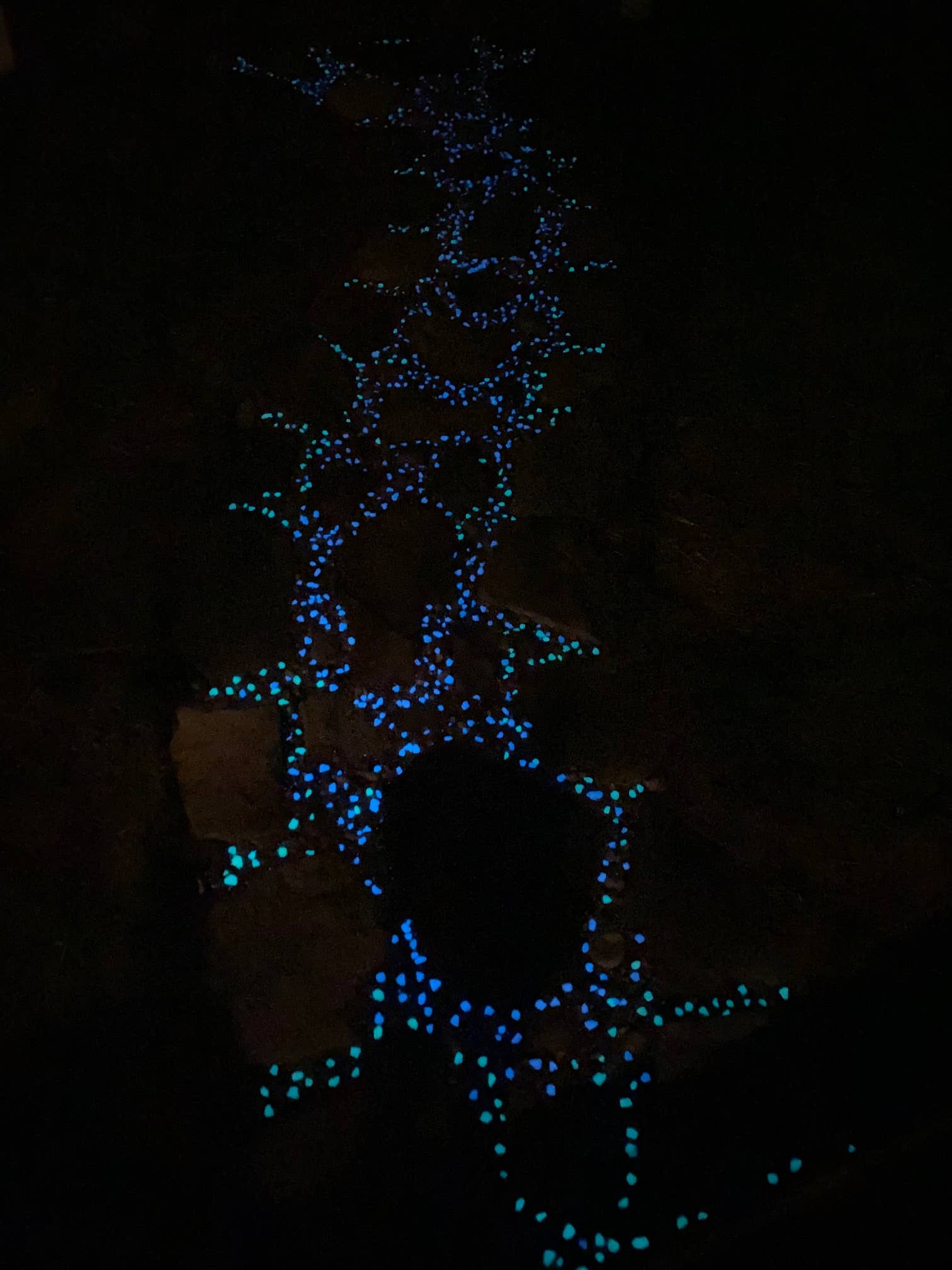 IT GLOWS - Wholesale Stepping Stone - Glow In the Dark Stones - Blue/Glow rocks/Garden Rocks 3-8mm7