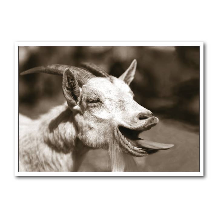 Ansichtkaart liggend formaat B/W DIN A6 MG1830 voor wholesale door Gutrath Verlag