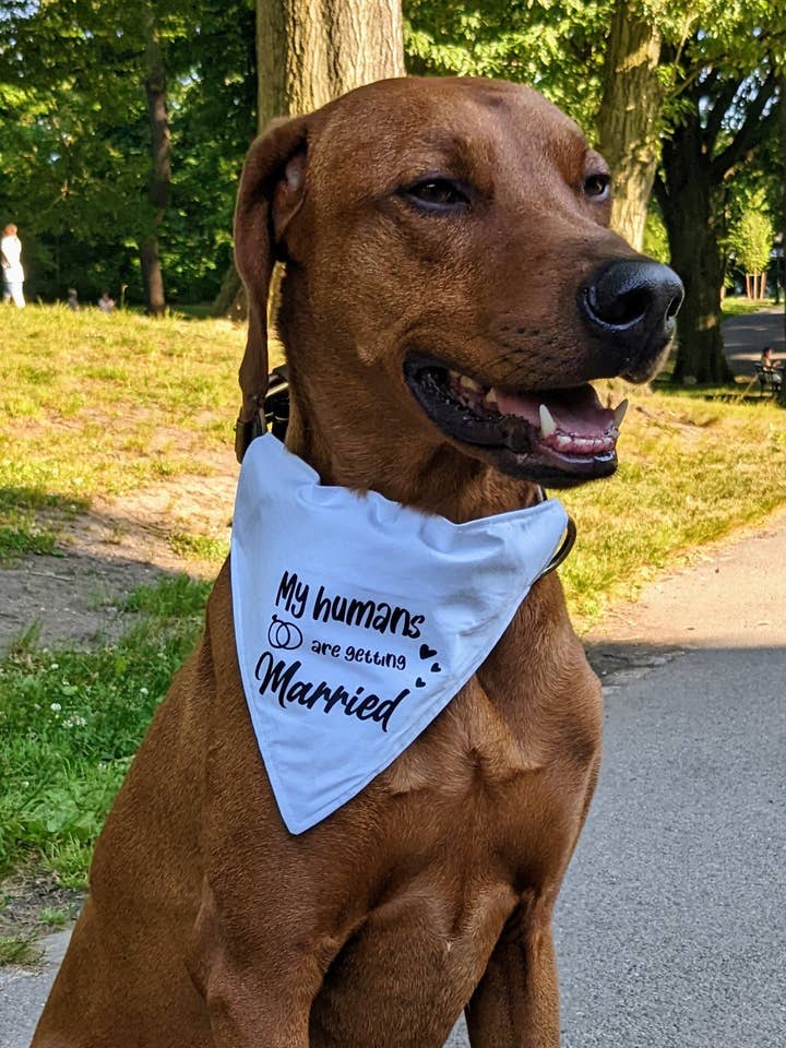 My Humans Are Getting Married Bandana for wholesale by Koa's Ruff Life