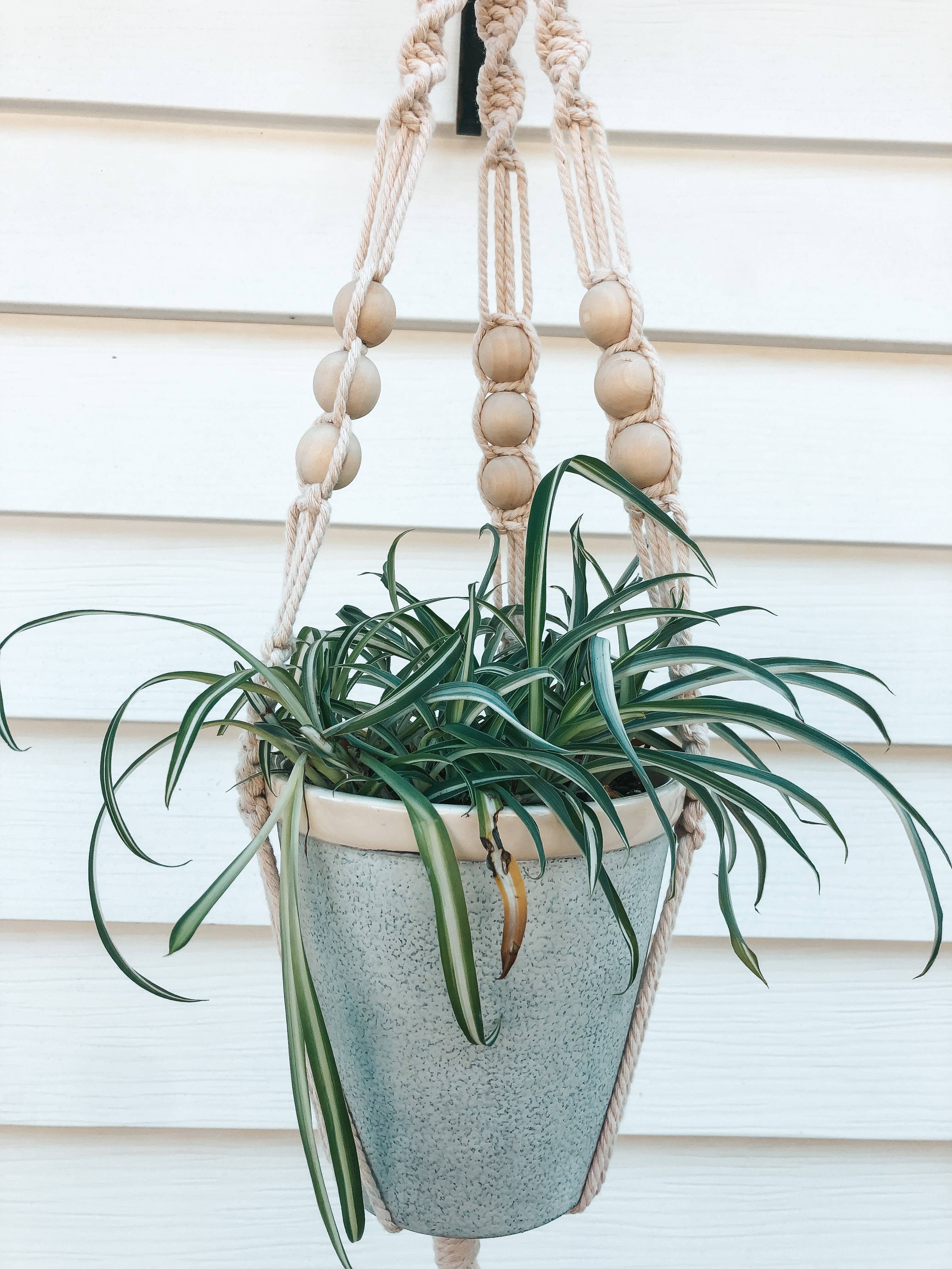 Knotty Mama Studios - Venta al por mayor Macetas colgantes - Colgador para plantas con cuentas de macramé1