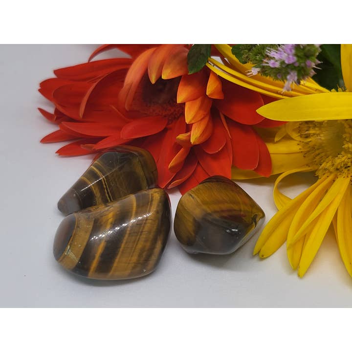 Tijgeroog Goud voor wholesale door Crystal Cove