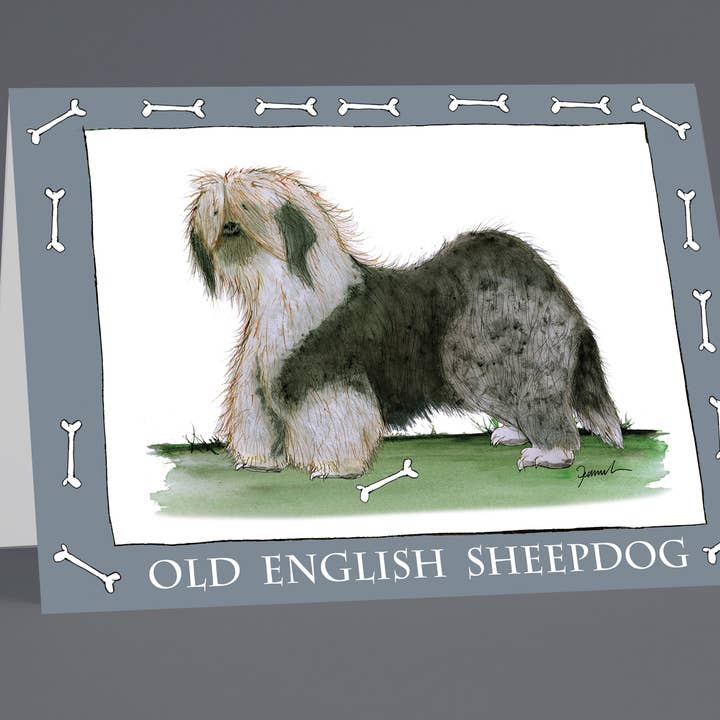 Old English Sheepdog greeting cards (pack of 6) for wholesale by Tony Fernandes Design