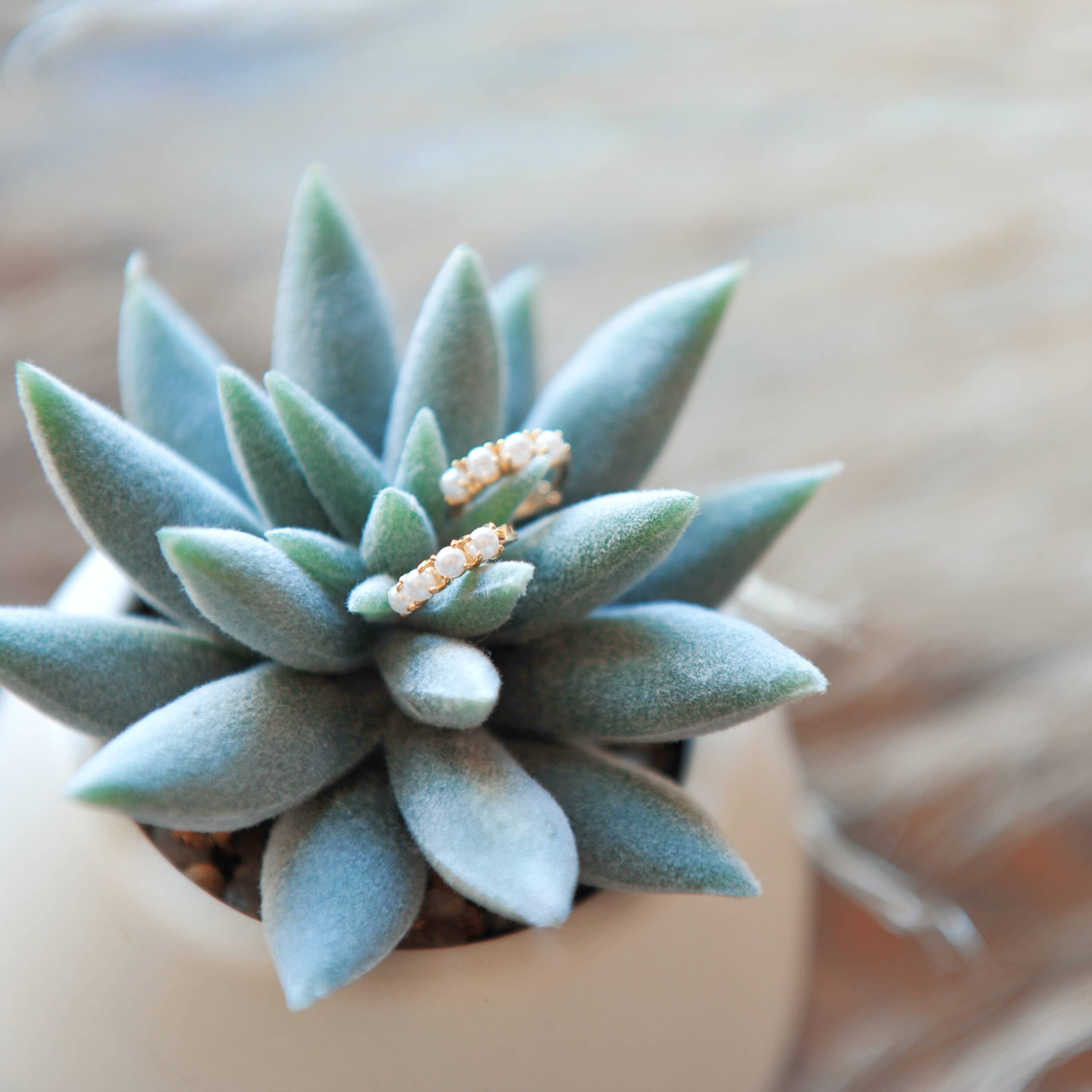 Oh So Lovely - Wholesale Huggie earrings - Pearl Huggie Hoops3