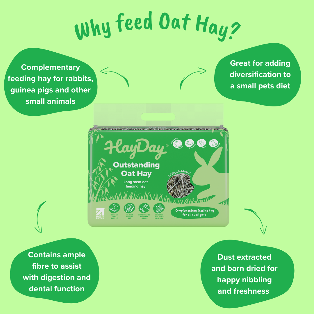 HayDay - Wholesale Pet Food - Not Cat/Dog - Outstanding Oat Hay 1kg2