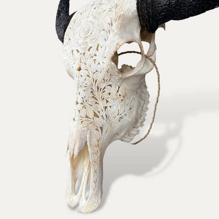 White bone Buffalo skull with carved horns - Sakti for wholesale on Faire1
