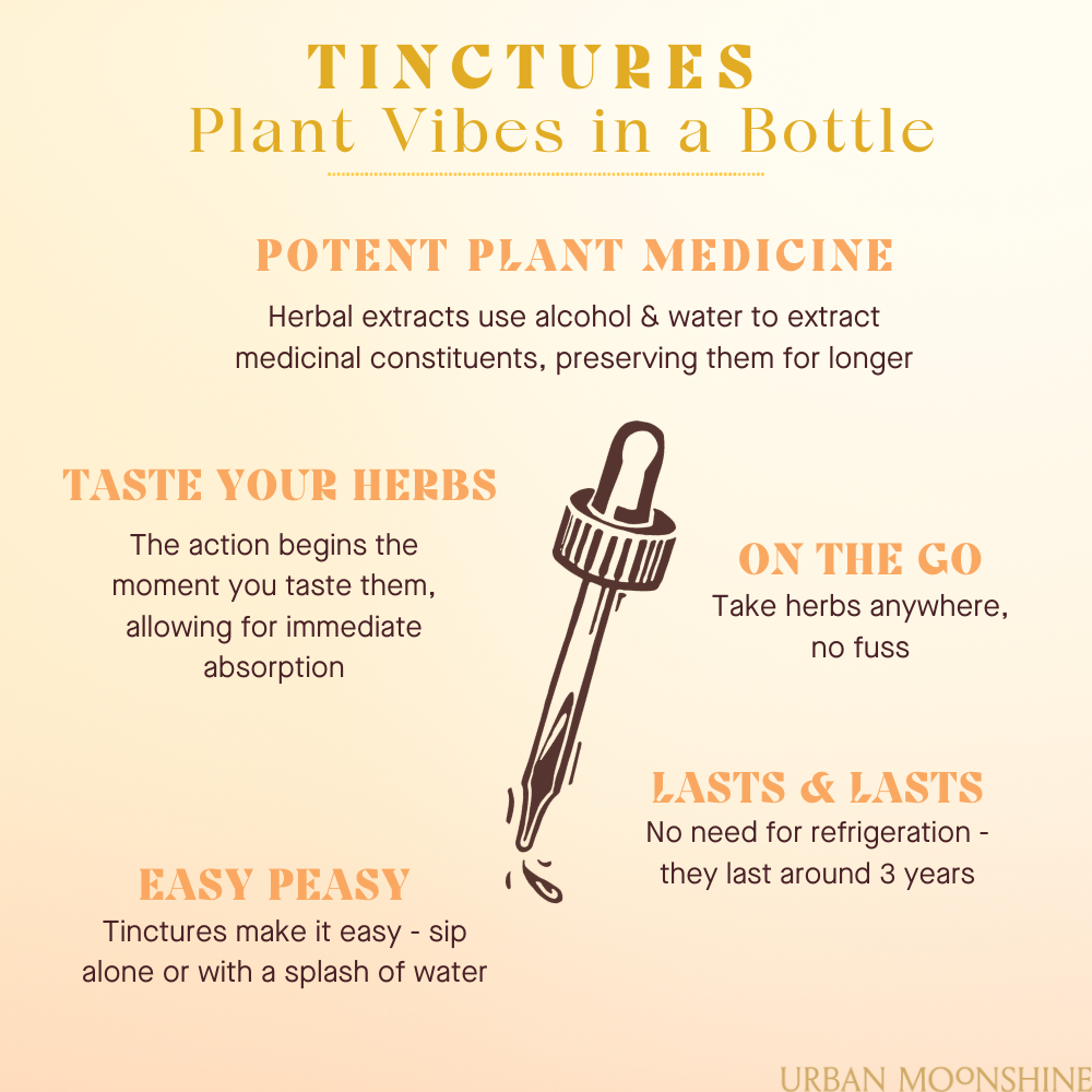 Urban Moonshine - Wholesale Oral Supplement/Vitamin - Calm Tummy Bitters6