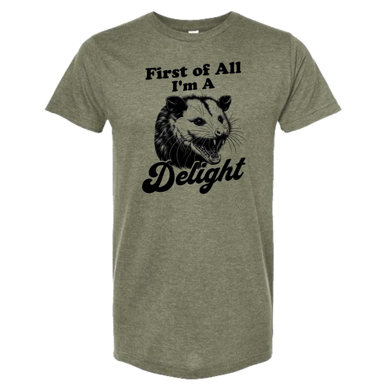 dkhandmade - Wholesale Screen Printed T-Shirt - Unisex - FIRST OF ALL I'M A DELIGHT T-SHIRT0