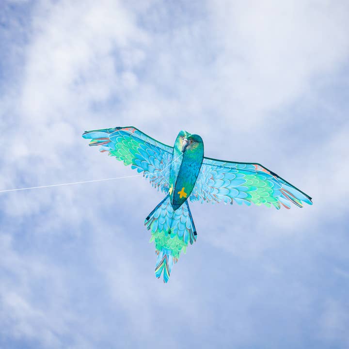 In the Breeze, LLC. - Vente Cerf-volant - Cerf-volant perroquet bleu 3D1
