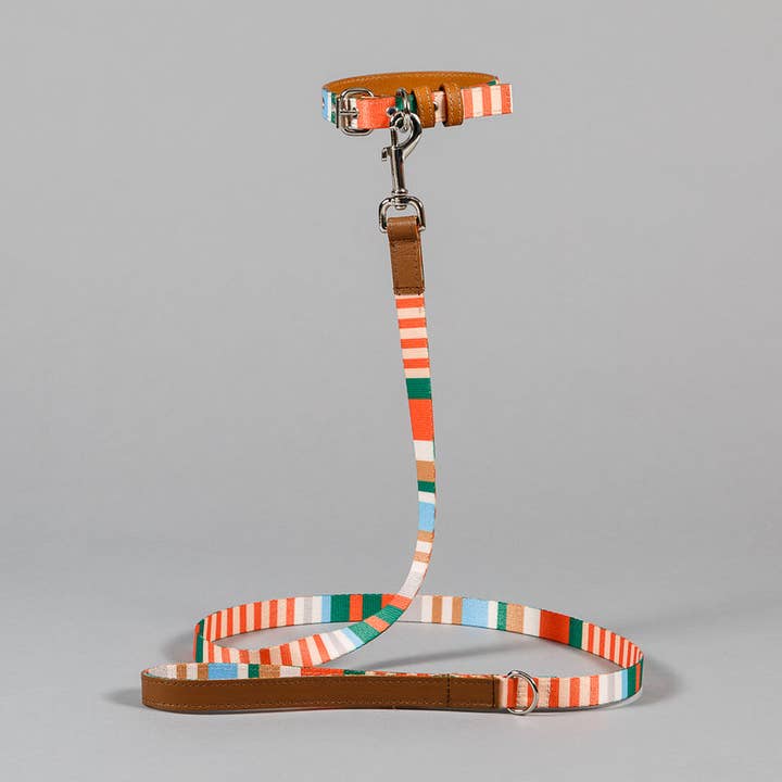 Guinzaglio e colletto a righe arancione/marrone chiaro per la vendita all'ingrosso da parte di Ware of the Dog