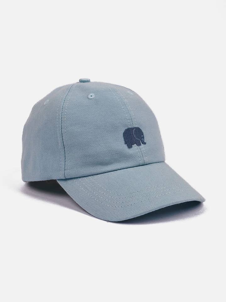 Logo Dad Cap Sky Blue for wholesale by Trendsplant Clothing