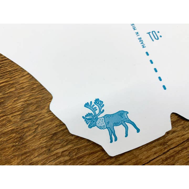 Noteworthy Paper & Press - Wholesale Postcard - Denali National Park Postcard7