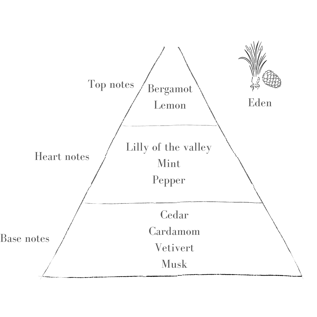 Pott – wholesale Pillar candle – Eden Refill1