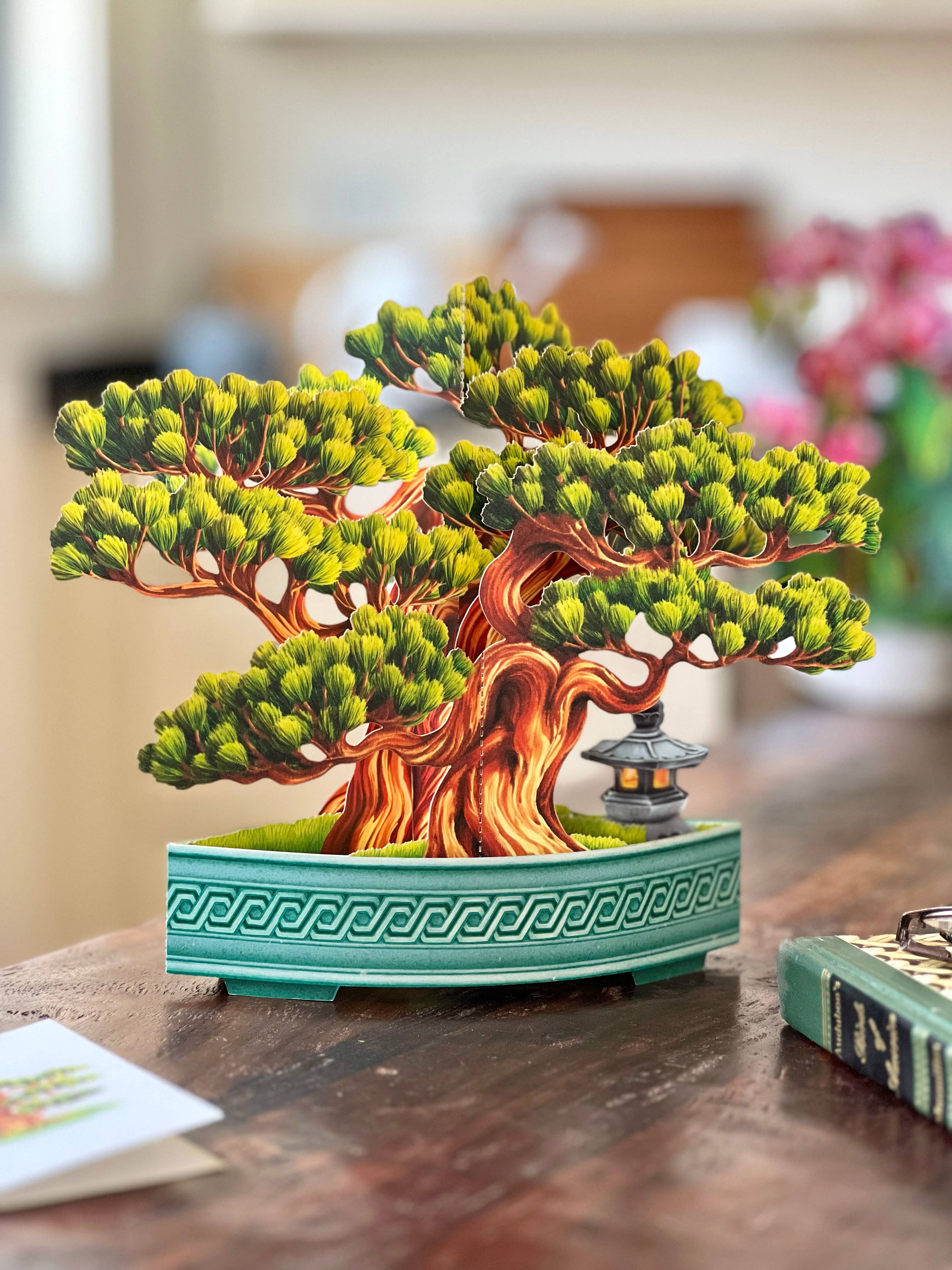 FreshCut Paper LLC - Wholesale Everyday Greeting Card - Wisdom Bonsai (8 Pop-up Greeting Cards)8