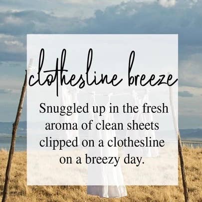 Timber Oak Candles - Wholesale Jar/Filled Candle - 8oz | 100% Pure Soy Mason Jar Candles | 40+ Scents9