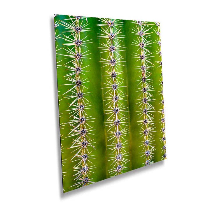 Magnifying Nature's Sculptures: Saguaro Cactus Zoomed In Photography Sonoran Desert Arizona Canvas Print Saguaro National Park for wholesale by Images By Cheri